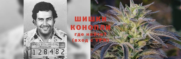 прущая мука Нея