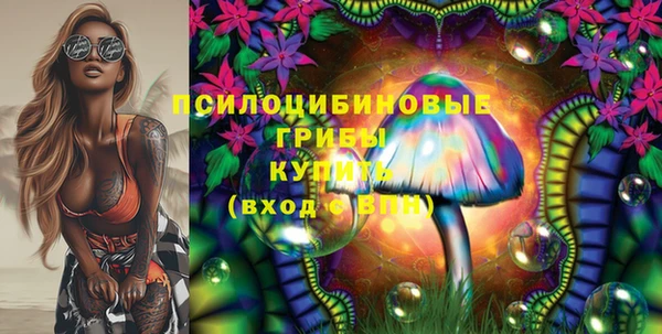 прущая мука Новодвинск