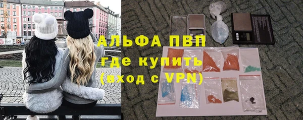 шишки Щигры
