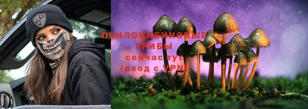 прущая мука Нея