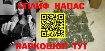 индика Волжский