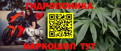 МДПВ Волжск