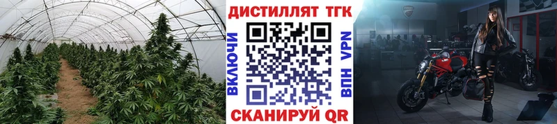 Дистиллят ТГК гашишное масло Казань