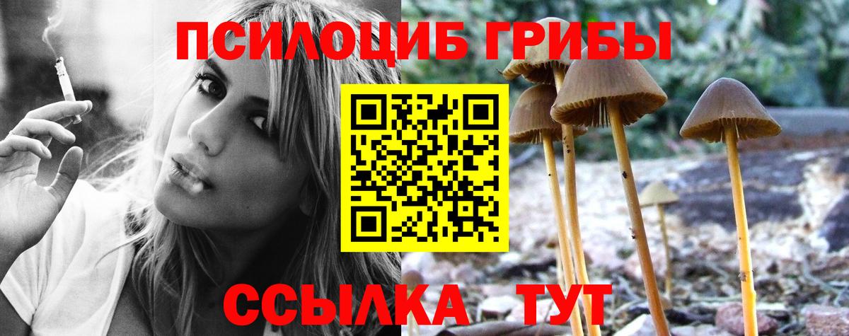 Галлюциногенные грибы мицелий Казань